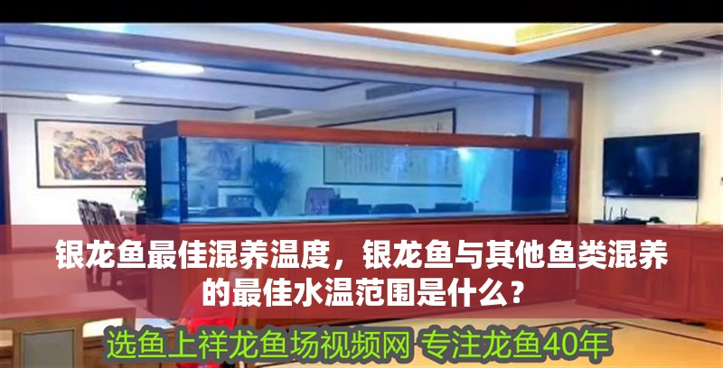 銀龍魚最佳混養溫度，銀龍魚與其他魚類混養的最佳水溫范圍是什么？