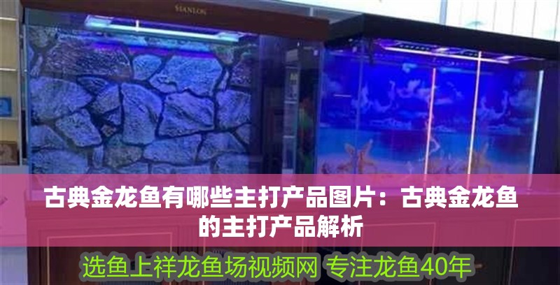 古典金龍魚有哪些主打產(chǎn)品圖片：古典金龍魚的主打產(chǎn)品解析