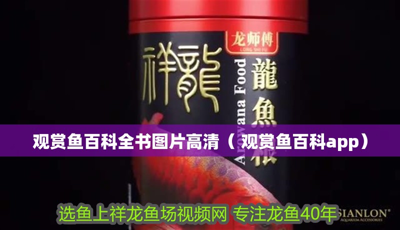 觀賞魚百科全書圖片高清（ 觀賞魚百科app）
