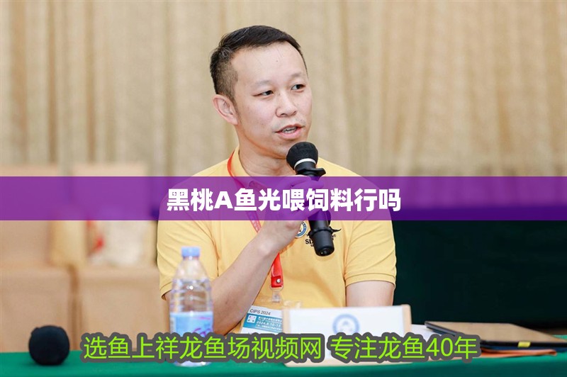 黑桃A魚光喂飼料行嗎