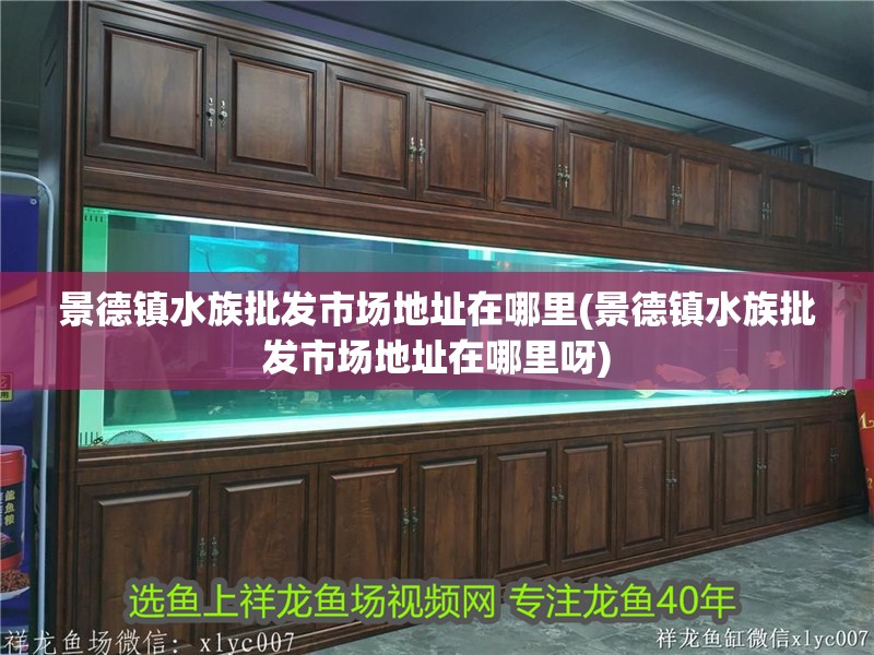 景德鎮水族批發市場地址在哪里(景德鎮水族批發市場地址在哪里呀) 景德鎮水族批發市場地址在哪里(景德鎮水族批發市場地址在哪里呀) 觀賞魚百科