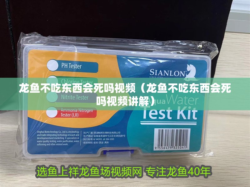 龍魚不吃東西會死嗎視頻（龍魚不吃東西會死嗎視頻講解）