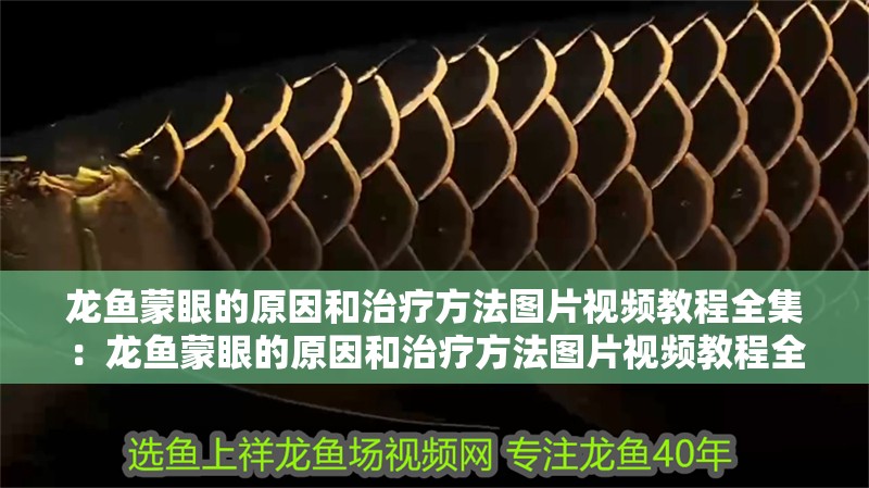 龍魚(yú)蒙眼的原因和治療方法圖片視頻教程全集：龍魚(yú)蒙眼的原因和治療方法圖片視頻教程全集大全