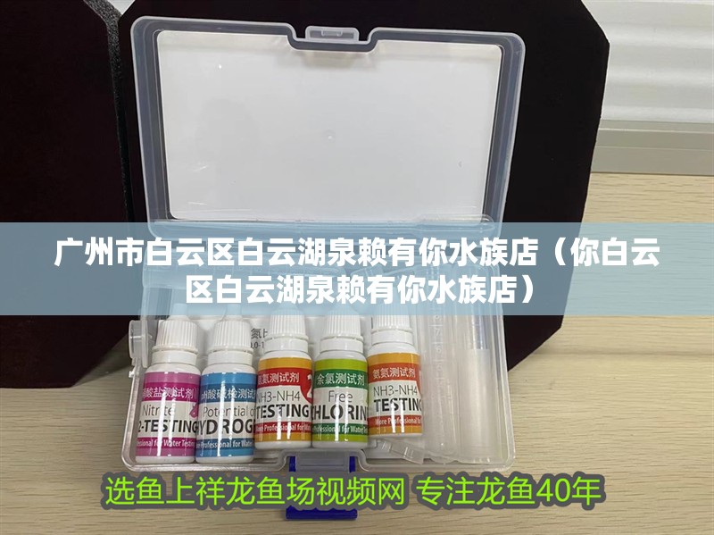 廣州市白云區白云湖泉賴有你水族店（你白云區白云湖泉賴有你水族店）