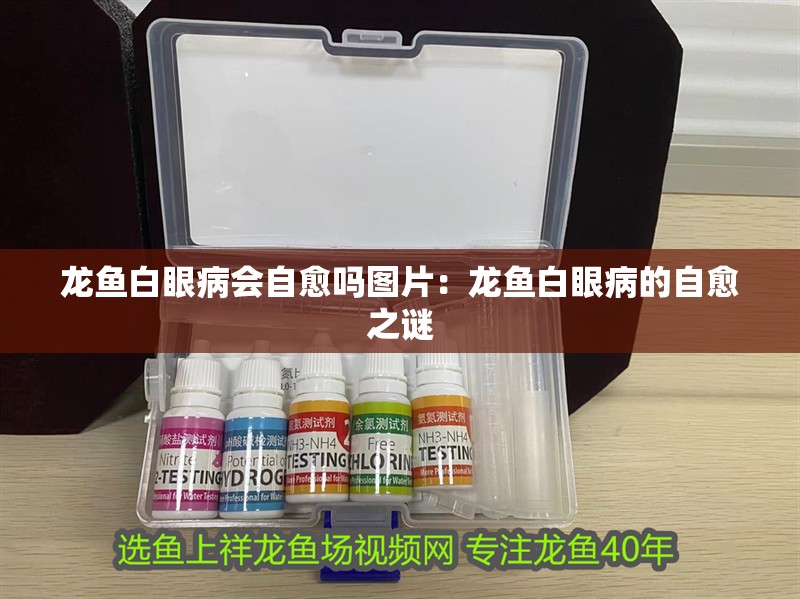 龍魚白眼病會自愈嗎圖片：龍魚白眼病的自愈之謎 龍魚白眼病會自愈嗎圖片：龍魚白眼病的自愈之謎 水族問答