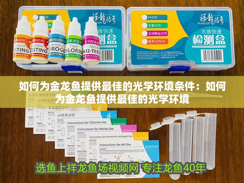 如何為金龍魚提供最佳的光學環境條件：如何為金龍魚提供最佳的光學環境