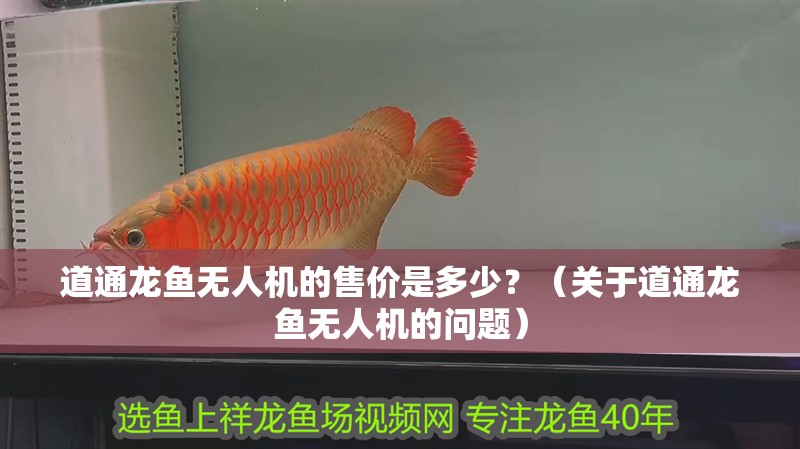 道通龍魚無人機的售價是多少？（關于道通龍魚無人機的問題）