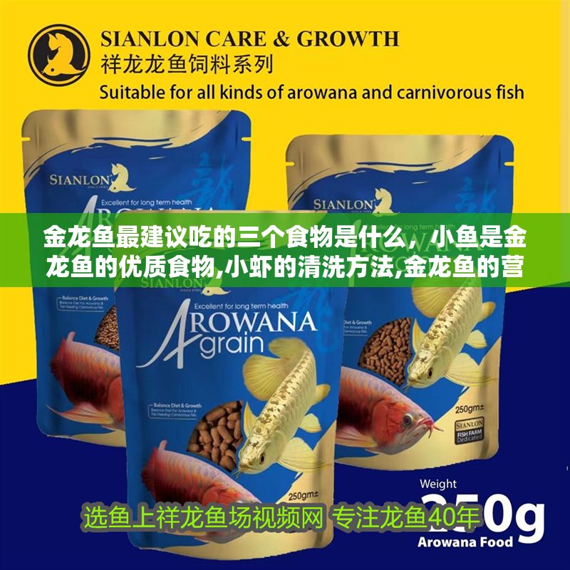 金龍魚最建議吃的三個食物是什么，小魚是金龍魚的優質食物,小蝦的清洗方法,金龍魚的營養搭配