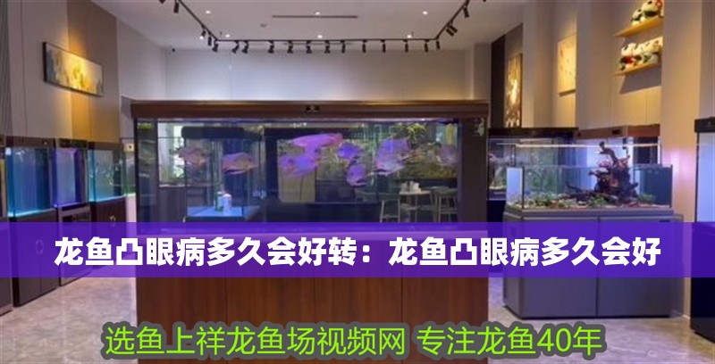 龍魚凸眼病多久會好轉：龍魚凸眼病多久會好