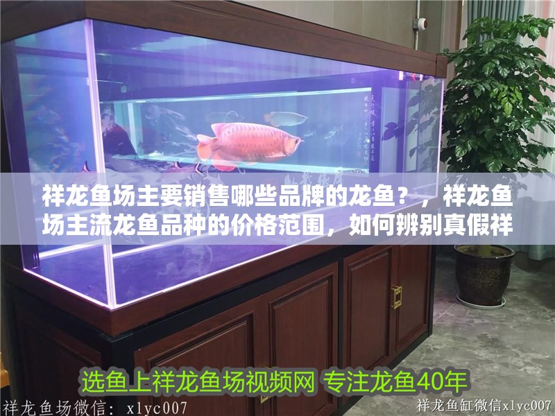 祥龍魚場主要銷售哪些品牌的龍魚？，祥龍魚場主流龍魚品種的價格范圍，如何辨別真假祥龍魚場龍魚？