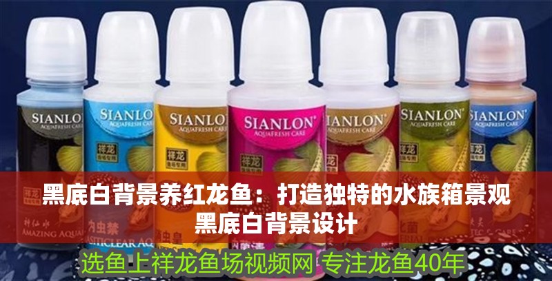 黑底白背景養紅龍魚：打造獨特的水族箱景觀黑底白背景設計