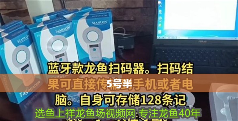 5號半 5號半 觀賞魚百科