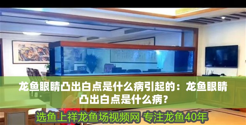 龍魚(yú)眼睛凸出白點(diǎn)是什么病引起的：龍魚(yú)眼睛凸出白點(diǎn)是什么病？