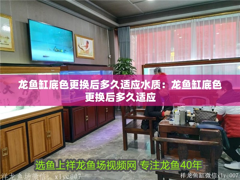 龍魚缸底色更換后多久適應水質：龍魚缸底色更換后多久適應