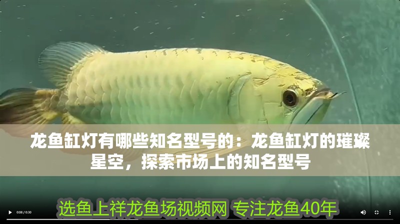 龍魚缸燈有哪些知名型號的：龍魚缸燈的璀璨星空，探索市場上的知名型號