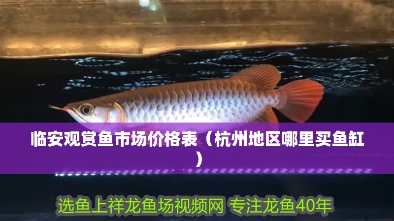 臨安觀賞魚市場價格表（杭州地區哪里買魚缸）