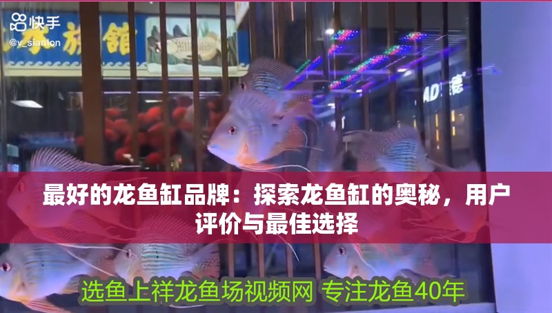 最好的龍魚缸品牌：探索龍魚缸的奧秘，用戶評(píng)價(jià)與最佳選擇