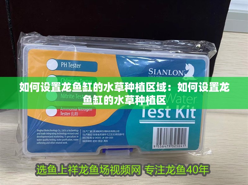 如何設置龍魚缸的水草種植區域：如何設置龍魚缸的水草種植區