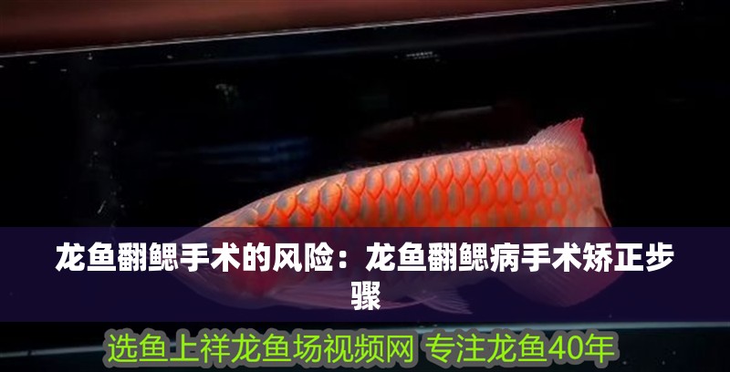 龍魚(yú)翻鰓手術(shù)的風(fēng)險(xiǎn)：龍魚(yú)翻鰓病手術(shù)矯正步驟