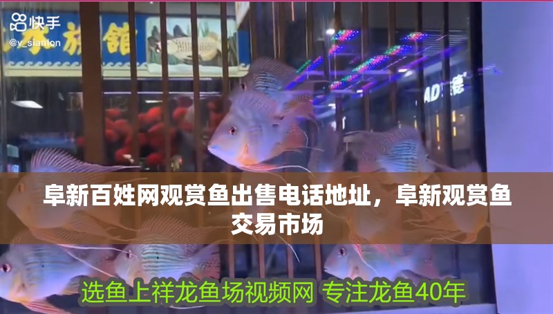 阜新百姓網觀賞魚出售電話地址，阜新觀賞魚交易市場