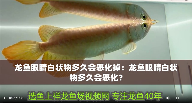 龍魚眼睛白狀物多久會惡化掉：龍魚眼睛白狀物多久會惡化？
