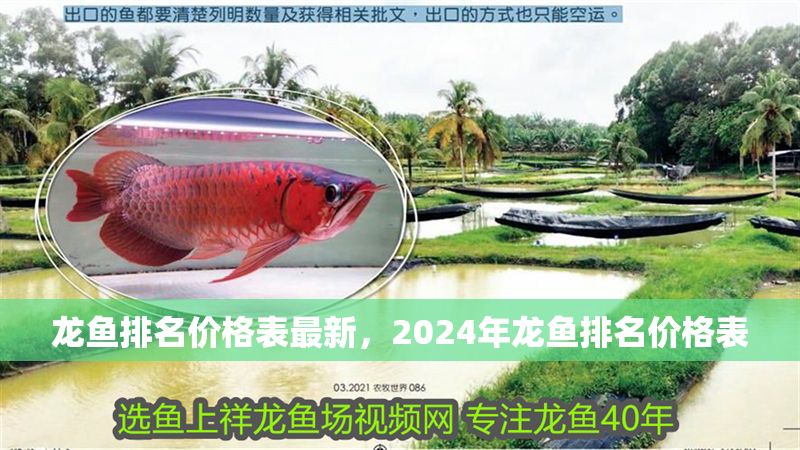 龍魚排名價(jià)格表最新，2024年龍魚排名價(jià)格表