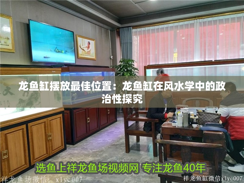 龍魚缸擺放最佳位置：龍魚缸在風水學中的政治性探究