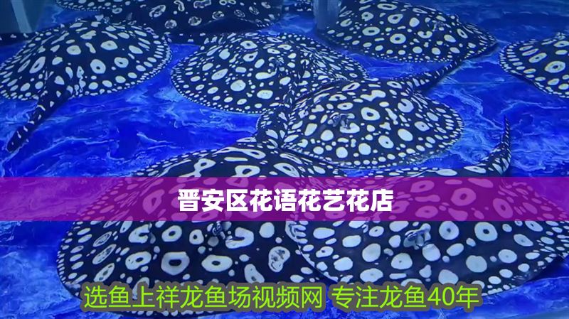 晉安區(qū)花語花藝花店 晉安區(qū)花語花藝花店 全國水族館企業(yè)名錄 第1張
