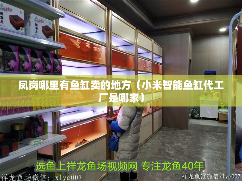 鳳崗哪里有魚缸賣的地方（小米智能魚缸代工廠是哪家）