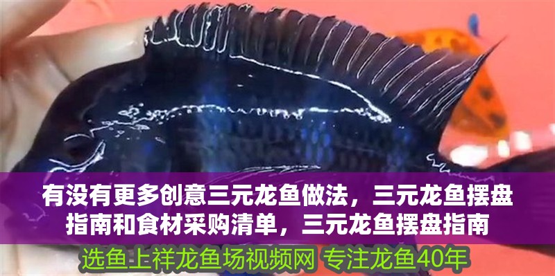 有沒有更多創意三元龍魚做法，三元龍魚擺盤指南和食材采購清單，三元龍魚擺盤指南 有沒有更多創意三元龍魚做法，三元龍魚擺盤指南和食材采購清單，三元龍魚擺盤指南 龍魚百科