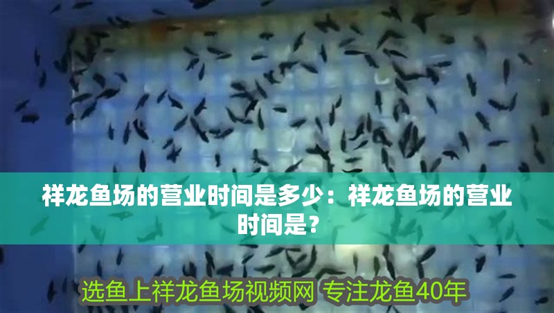 祥龍魚場的營業時間是多少：祥龍魚場的營業時間是？