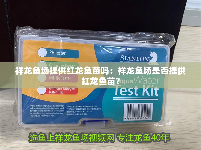 祥龍魚場提供紅龍魚苗嗎：祥龍魚場是否提供紅龍魚苗？