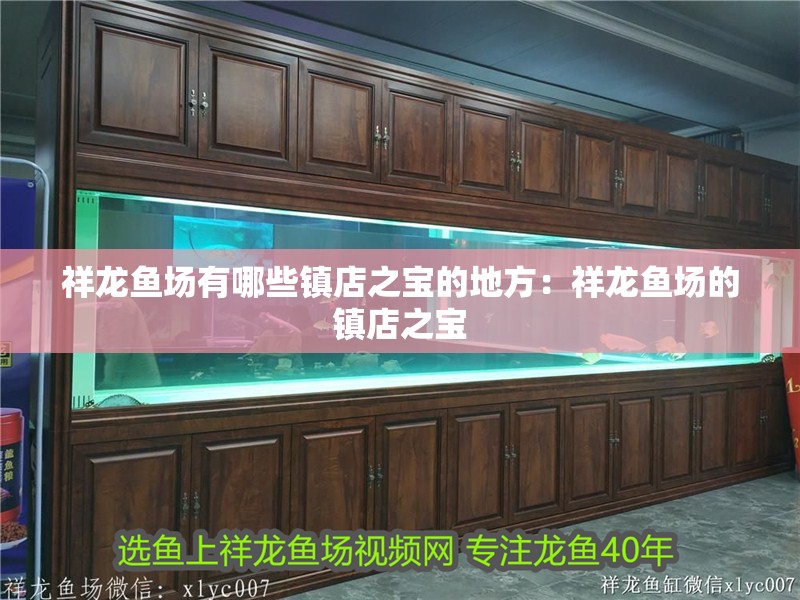 祥龍魚場有哪些鎮店之寶的地方：祥龍魚場的鎮店之寶