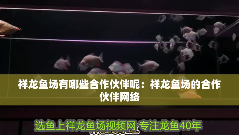 祥龍魚場有哪些<strong><mark>合作</mark></strong>伙伴呢：祥龍魚場的<strong><mark>合作</mark></strong>伙伴網絡