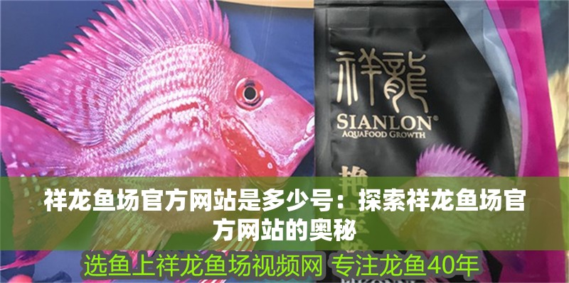 給大魚缸換水的頻率是固定的,而是需要根據多種因素來確定:給大魚缸換水的頻率不是固定的,而是需要根據多種因素來確定 祥龍魚場官方網站是多少號:探索祥龍魚場官方網站的奧秘 水族問答 祥龍魚場官方網站是多少號:探索祥龍魚場官方網站的奧秘 祥龍魚場官方網站是多少號:探索祥龍魚場官方網站的奧秘 水族問答