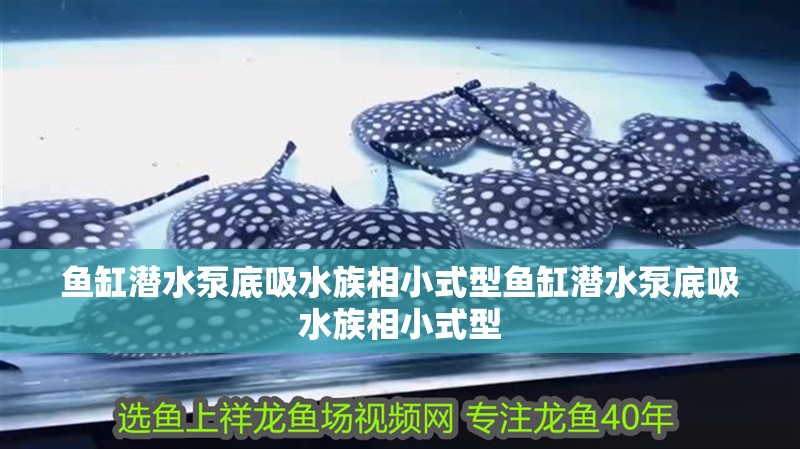 魚缸潛水泵底吸水族相小式型魚缸潛水泵底吸水族相小式型