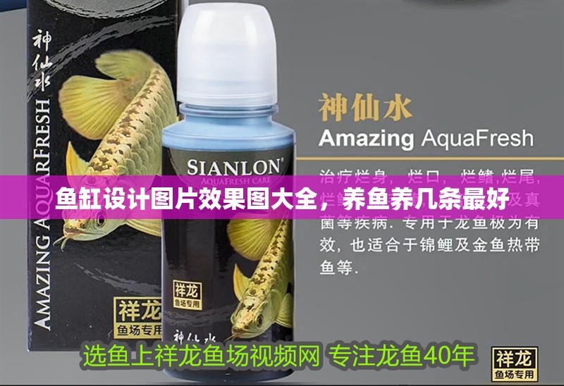 魚缸設計圖片效果圖大全，養魚養幾條最好 魚缸設計圖片效果圖大全，養魚養幾條最好 觀賞魚百科