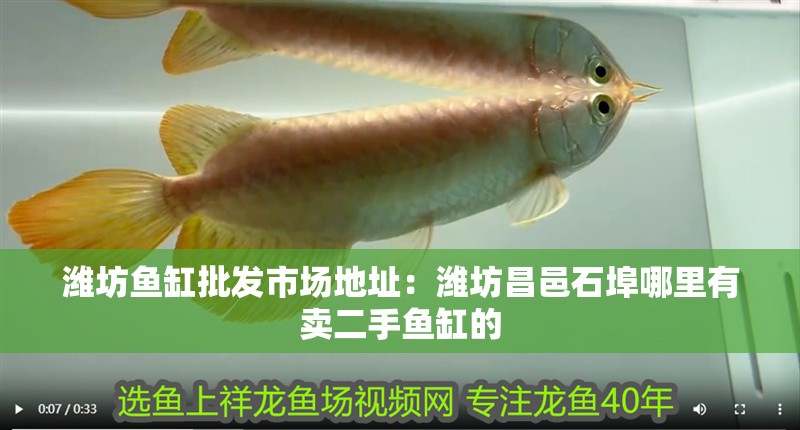 濰坊魚缸批發(fā)市場地址：濰坊昌邑石埠哪里有賣二手魚缸的