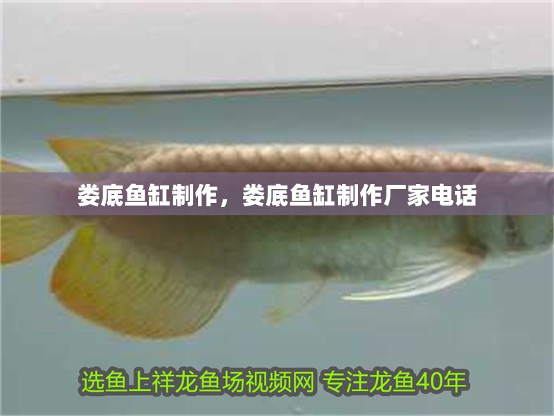 婁底魚缸制作，婁底魚缸制作廠家電話