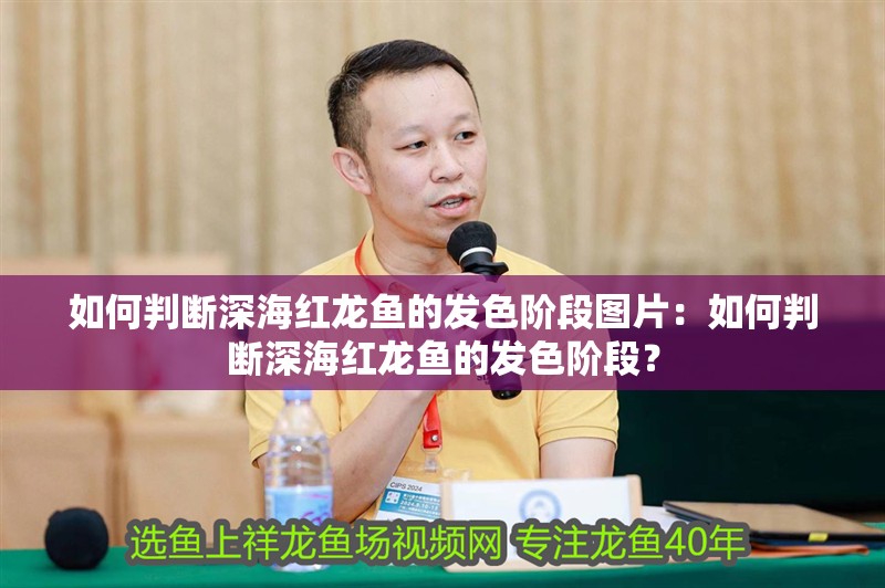 如何判斷深海紅龍魚的發色階段圖片：如何判斷深海紅龍魚的發色階段？