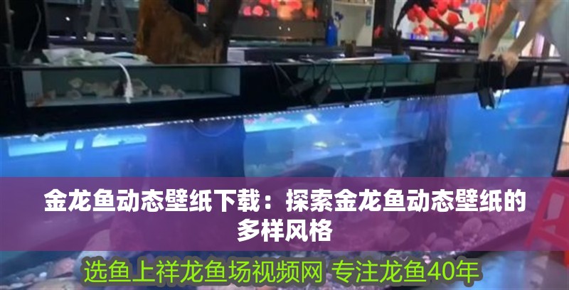 金龍魚動態(tài)壁紙下載：探索金龍魚動態(tài)壁紙的多樣風(fēng)格