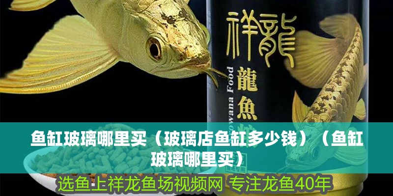 魚缸玻璃哪里買（玻璃店魚缸多少錢）（魚缸玻璃哪里買）