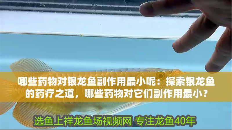 哪些藥物對銀龍魚副作用最小呢：探索銀龍魚的藥療之道，哪些藥物對它們副作用最?。?></span></p></div><blockquote style='border:1px #d0d4c8 dashed;background-color:#f4f5f6'><p class=