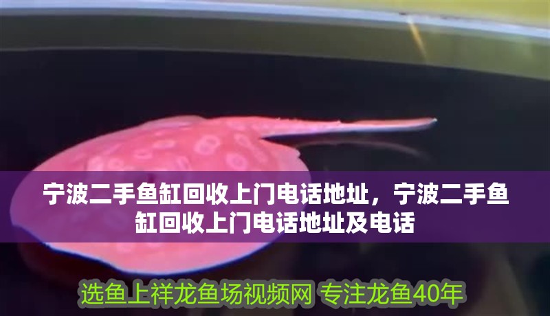 寧波二手魚缸回收上門電話地址，寧波二手魚缸回收上門電話地址及電話