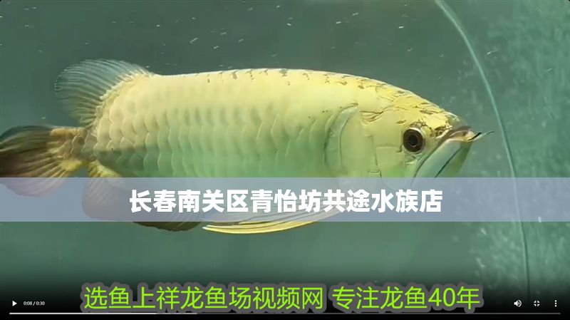 長春南關區青怡坊共途水族店