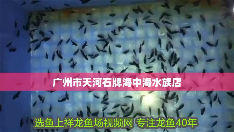 廣州市天河石牌海中海水族店