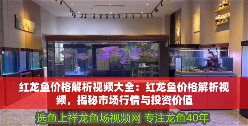 紅龍魚價格解析視頻大全：紅龍魚價格解析視頻，揭秘市場行情與投資價值