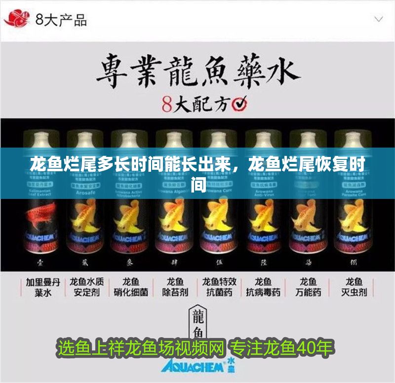 龍魚(yú)爛尾多長(zhǎng)時(shí)間能長(zhǎng)出來(lái)，龍魚(yú)爛尾恢復(fù)時(shí)間