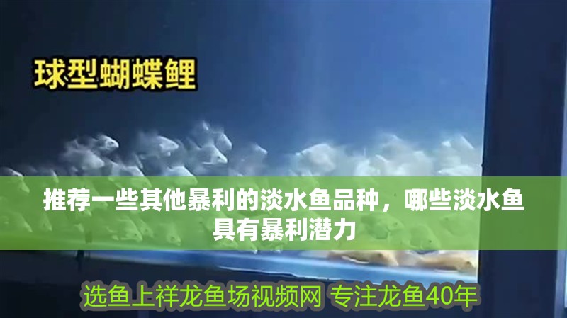推薦一些其他暴利的淡水魚品種，哪些淡水魚具有暴利潛力