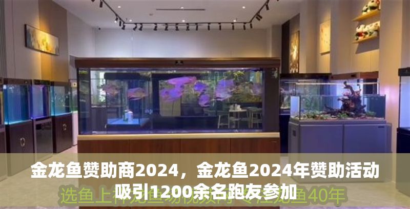 金龍魚贊助商2024，金龍魚2024年贊助活動吸引1200余名跑友參加